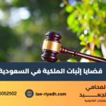 قضايا إثبات الملكية